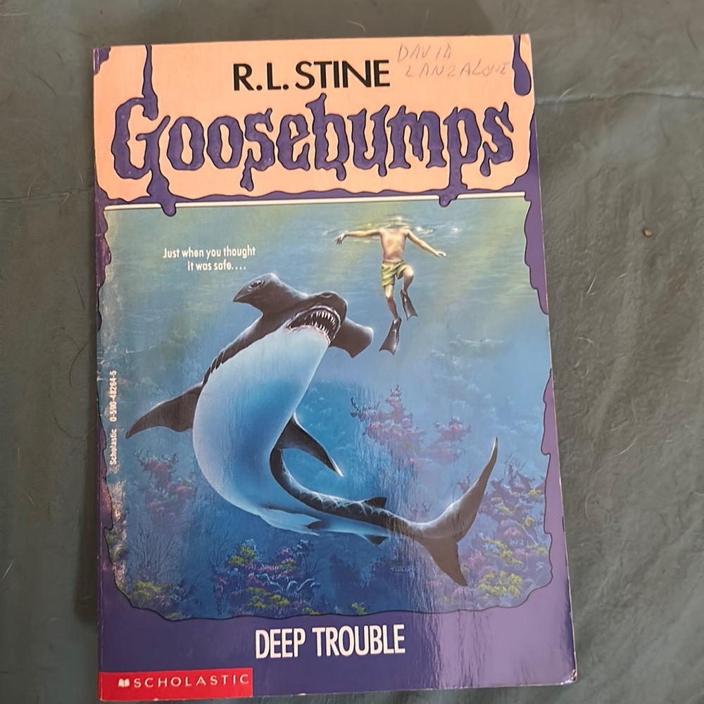 Scholastic Goosebumps Book
